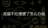 龍貓不拉便便了怎么辦視頻？龍貓不拉粑粑是怎么回事