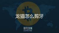 龍貓怎么剪牙