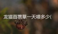 龍貓苜蓿草一天喂多少(成年龍貓一天吃多少克糧)