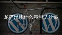 龍貓足線什么意思？絲絨龍貓足線