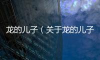 龍的兒子（關(guān)于龍的兒子的基本情況說(shuō)明介紹）
