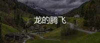 龍的騰飛