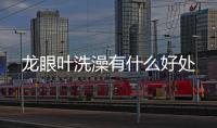 龍眼葉洗澡有什么好處