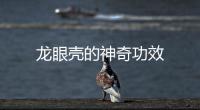 龍眼殼的神奇功效