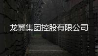 龍翼集團控股有限公司