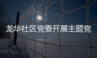 龍華社區(qū)黨委開展主題黨日活動