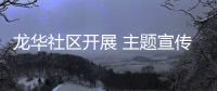 龍華社區(qū)開展 主題宣傳咨詢活動(dòng)