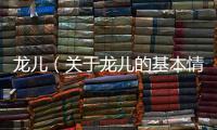 龍兒（關(guān)于龍兒的基本情況說明介紹）
