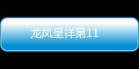龍鳳呈祥第11