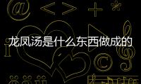 龍鳳湯是什么東西做成的（龍鳳湯的功效）