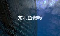 龍利魚貴嗎
