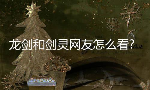 龍劍和劍靈網友怎么看?