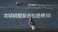 龍城鋼塑復合拉筋帶30020B規(guī)格