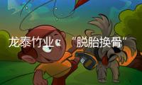 龍?zhí)┲駱I(yè)：“脫胎換骨”打造產(chǎn)業(yè)鏈