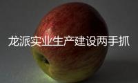 龍派實業生產建設兩手抓