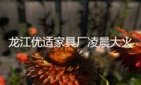 龍江優適家具廠凌晨大火 幸無人員傷亡
