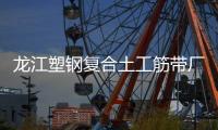 龍江塑鋼復合土工筋帶廠家