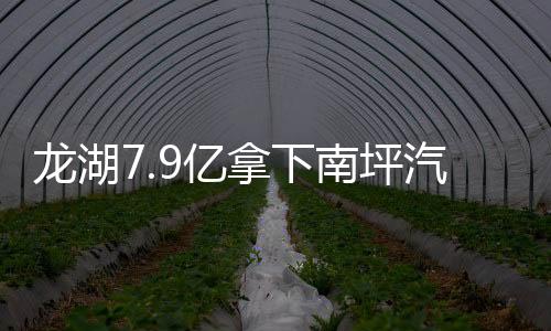 龍湖7.9億拿下南坪汽車站地塊 重慶第12座天街官宣落地