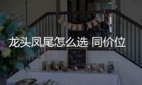 龍頭鳳尾怎么選 同價(jià)位選GS8還是漢蘭達(dá)