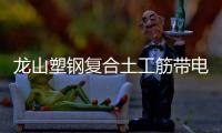 龍山塑鋼復合土工筋帶電話