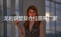 龍巖鋼塑復合拉筋帶廠家電話