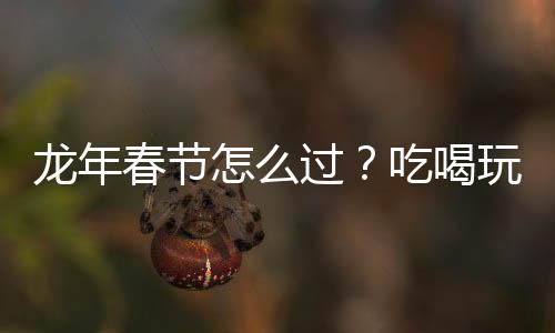 龍年春節怎么過？吃喝玩樂跨越南北
