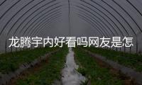 龍騰宇內好看嗎網友是怎么說的！