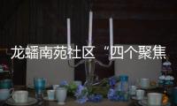 龍蟠南苑社區“四個聚焦”共繪治理同心圓_
