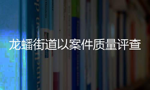 龍?bào)唇值酪园讣|(zhì)量評(píng)查助力提升查辦質(zhì)效_