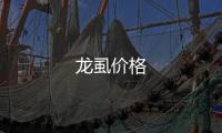 龍虱價(jià)格