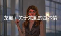 龍虱（關(guān)于龍虱的基本情況說(shuō)明介紹）