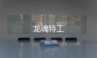 龍魂特工