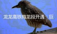 龍龍高鐵梅龍段開通：巨龍騰飛，開啟發展新征程