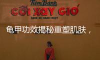 龜甲功效揭秘重塑肌膚，煥發(fā)青春光彩！