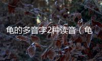 龜?shù)亩嘁糇?種讀音（龜?shù)亩嘁糇郑?/></div></a><area lang=