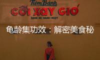 龜齡集功效：解密美食秘籍，煥發青春活力！