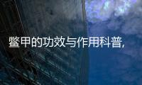 鱉甲的功效與作用科普,鱉甲的副作用科普藥效用法圖片