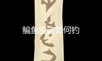 鳊魚應該如何釣