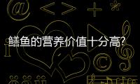 鱔魚的營養價值十分高?五大價值可放心選擇