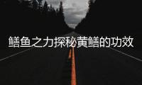 鱔魚之力探秘黃鱔的功效與作用