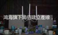 鴻海旗下鴻佰建立產線，製造太空運算產品