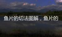 魚(yú)片的切法圖解，魚(yú)片的切法