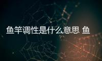 魚竿調性是什么意思 魚竿硬度和調性對照表（魚竿調性是什么意思）