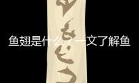 魚翅是什么？一文了解魚翅的起源制作和文化含義