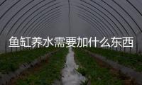 魚缸養水需要加什么東西嗎