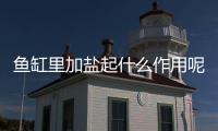 魚缸里加鹽起什么作用呢？魚缸里加鹽有什么作用