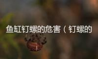 魚缸釘螺的危害（釘螺的危害）