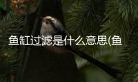 魚缸過濾是什么意思(魚缸過濾是什么原理)