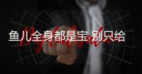 魚兒全身都是寶 別只給孩子吃魚腩【健康】風尚中國網