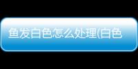 魚發白色怎么處理(白色的魚怎么做)